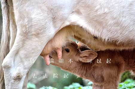 借條逾期不還可以起訴嗎(借條逾期多久可以去法院起訴)