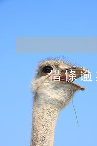 借條逾期了7天(借逾期一天)