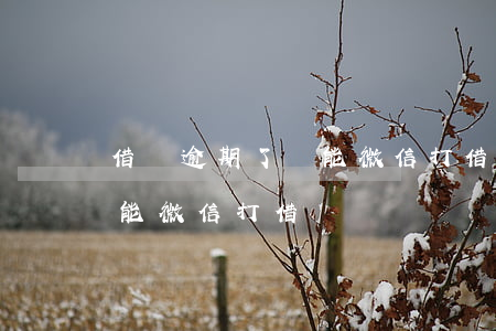 借條逾期了還能微信打借條嗎(借條逾期了還能微信打借條嗎)