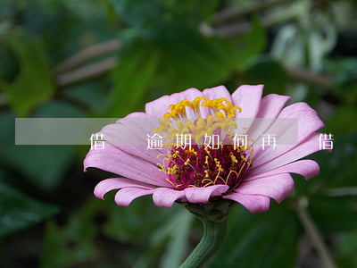 借條逾期如何再寫借條(借條到期怎么重新寫)