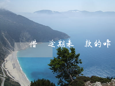借條逾期未還款的咋辦(逾期未還款怎么辦)