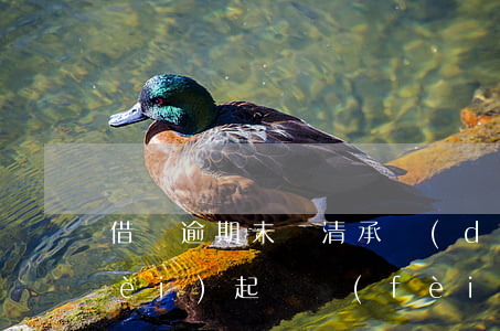 借條逾期未還清承擔(dān)律師費(fèi)起訴費(fèi)-借條未還錢起訴需要什么條件