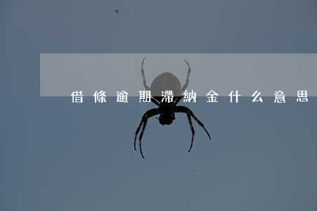 借條逾期滯納金什么意思