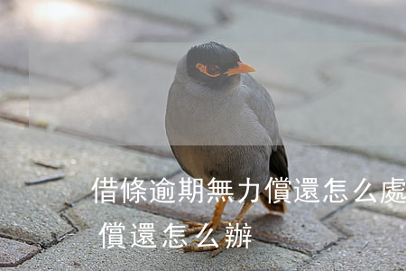 借條逾期無力償還怎么處理-借條到期無力償還怎么辦