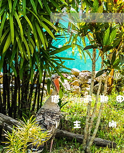 借條逾期申訴應(yīng)當(dāng)主張哪些權(quán)益-借條逾期申訴應(yīng)當(dāng)主張哪些權(quán)益和義務(wù)