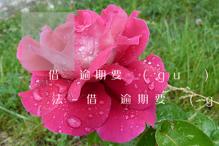 借條逾期要規(guī)定多少違約金才合法-借條逾期要規(guī)定多少違約金才合法呢