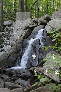 借條逾期還款利息約定(借條約定利息逾期利息怎么算)