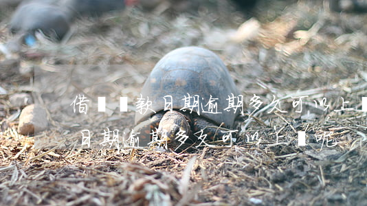 借條還款日期逾期多久可以上訴-借條還款日期逾期多久可以上訴呢