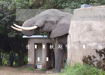 借條還款期限超過了能否起訴（借條逾期可以起訴嗎）
