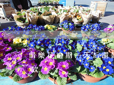 借樂花逾期一天后還款(借樂花逾期一天后還款)