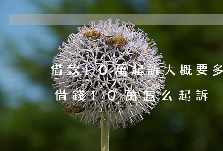 借款10萬起訴大概要多少費(fèi)用（借錢10萬怎么起訴）