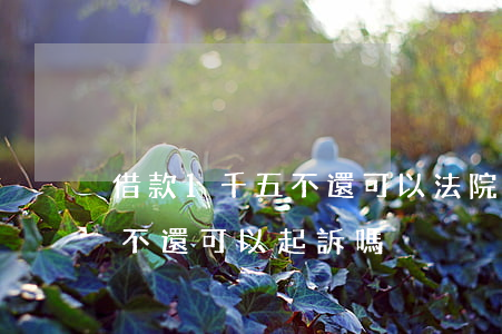 借款1千五不還可以法院起訴嗎(借錢一千元不還可以起訴嗎)