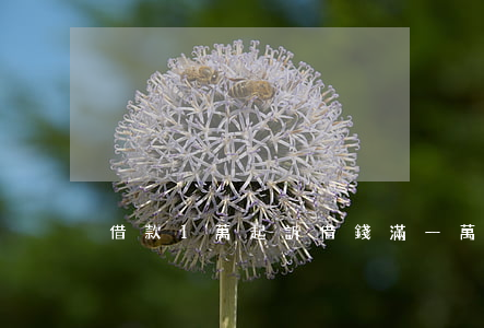 借款1萬起訴（借錢滿一萬起訴）
