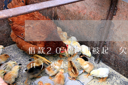 借款20w逾期被起訴(欠朋友20萬(wàn)被起訴)
