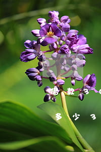 借款30萬(wàn)起訴費(fèi)是多少(30萬(wàn)的起訴費(fèi)多少錢)