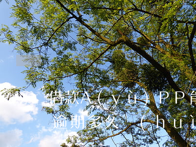 借款A(yù)PP能逾期多久(借款app逾期多久會(huì)被起訴)