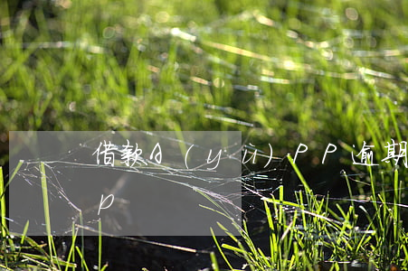 借款A(yù)PP逾期七天貸(7天貸app)
