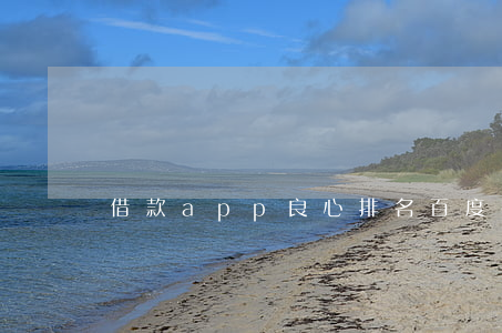 借款app良心排名（百度有錢花利息高嗎）