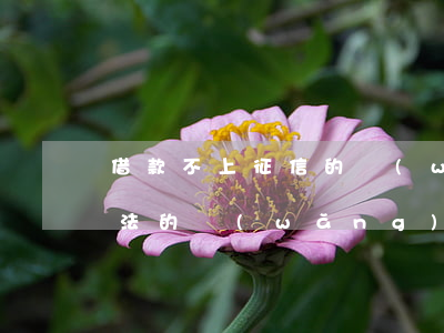 借款不上征信的網(wǎng)貸逾期(不合法的網(wǎng)貸逾期會(huì)上征信嗎?)