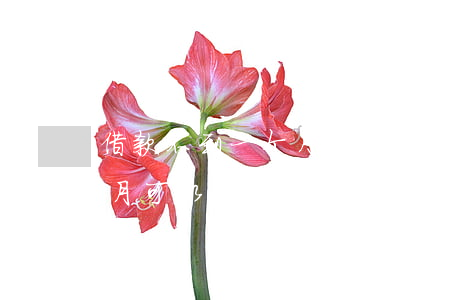 借款不到一个月利息怎么计算（借钱没到1个月可以起诉么）