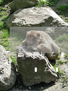 借款不還法院可以強制執(zhí)行嗎(借錢不還可以申請法院強制執(zhí)行)