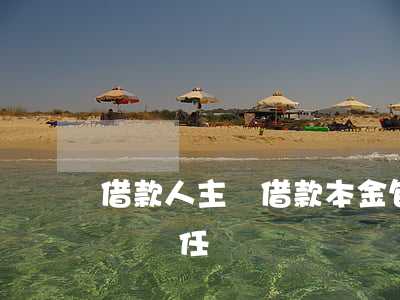 借款人主張借款本金包含前期利息，應承擔舉證責任