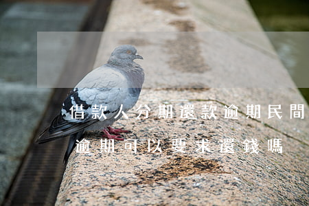 借款人分期還款逾期(民間借貸分期還款一期逾期可以要求還錢嗎)