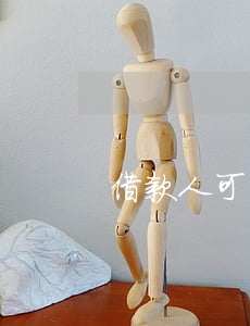 借款人可以自己去法院訴訟嗎
