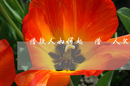 借款人如何起訴（借錢人欠款怎么起訴）