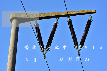 借款人怎么申請(qǐng)延長(zhǎng)還款期限和償還利息的時(shí)間