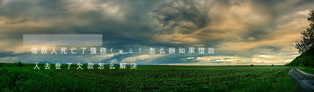 借款人死亡了債務(wù)怎么辦(如果借款人去世了,欠款怎么解決)