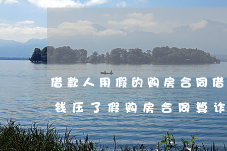 借款人用假的购房合同借钱不还算诈骗吗(借钱压了假购房合同算诈骗吗)