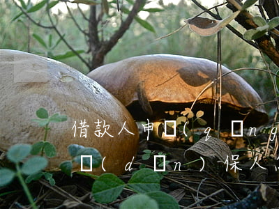 借款人申請(qǐng)破產(chǎn)擔(dān)保人怎么辦