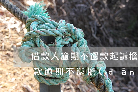 借款人逾期不還款起訴擔(dān)保人(借款逾期不還擔(dān)保人需承擔(dān)責(zé)任嗎)