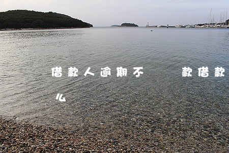 借款人逾期不還貸款(借款人拖欠借款不還怎么辦?)