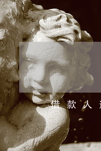 借款人逾期情況說明