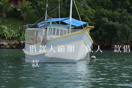 借款人逾期擔保人還款(借款人逾期擔保人還款)