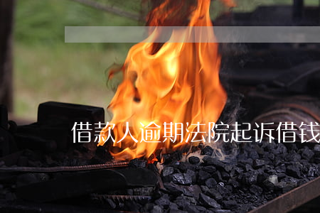 借款人逾期法院起诉 借钱逾期被起诉的结果