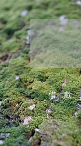 借款人逾期還款合同(借款人逾期還款合同)