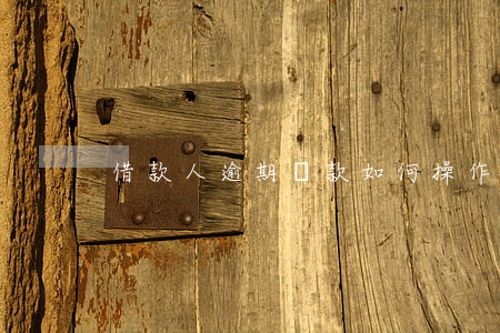 借款人逾期還款如何操作(逾期貸款如何還款)