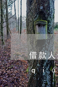 借款人還不了錢(qián)怎么辦(借錢(qián)人不還錢(qián)怎么辦)