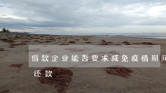 借款企业能否要求减免疫情期间利息或延期还款
