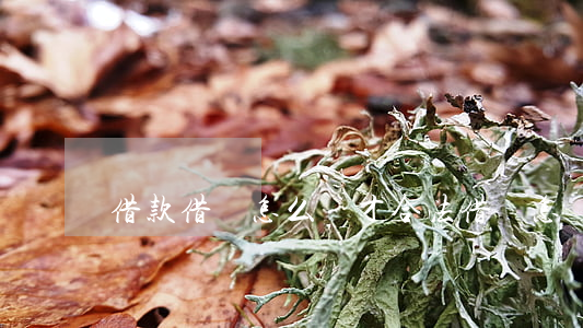 借款借條怎么寫才合法(借條怎樣寫才合法)