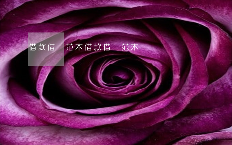 借款借條范本(借款借條范本)