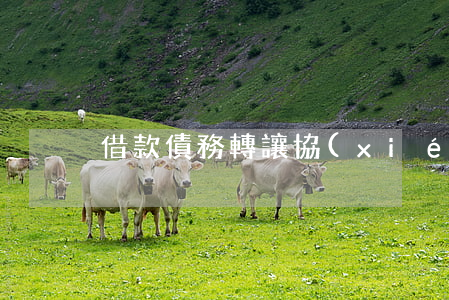 借款債務轉讓協(xié)議怎么寫