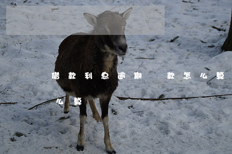 借款利息逾期還款怎么算(借錢逾期了利息怎么算)