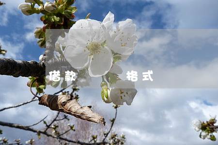 借款協議書格式