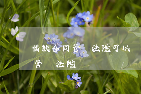 借款合同管轄法院可以約定嗎(借條可以約定管轄法院嗎)