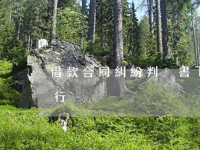 借款合同糾紛判決書下來多久執(zhí)行