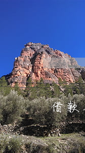 借款合同糾紛在哪里起訴